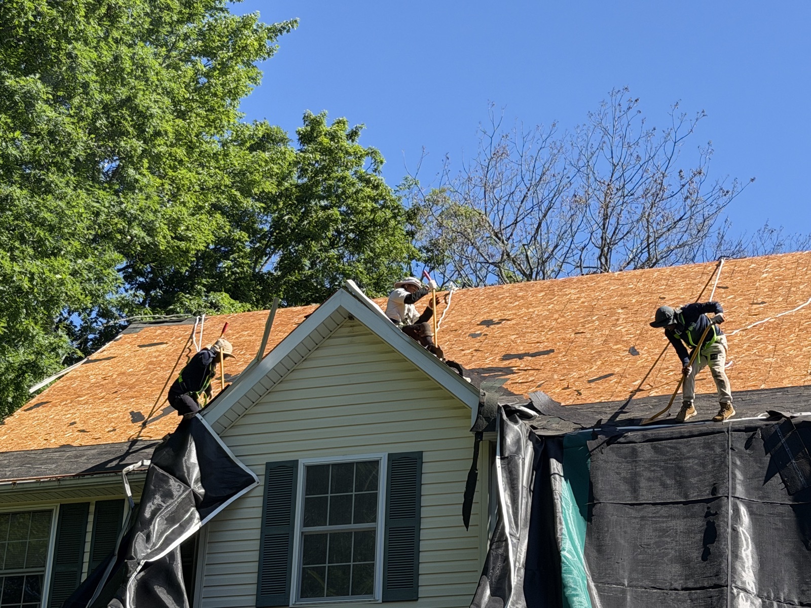 All In One Building crew replacing a roof