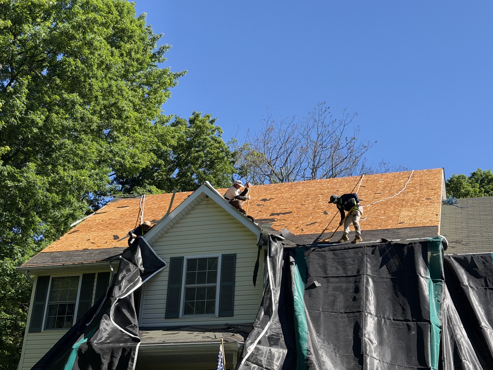 All In One Building crew tearing off and re-decking a roof
